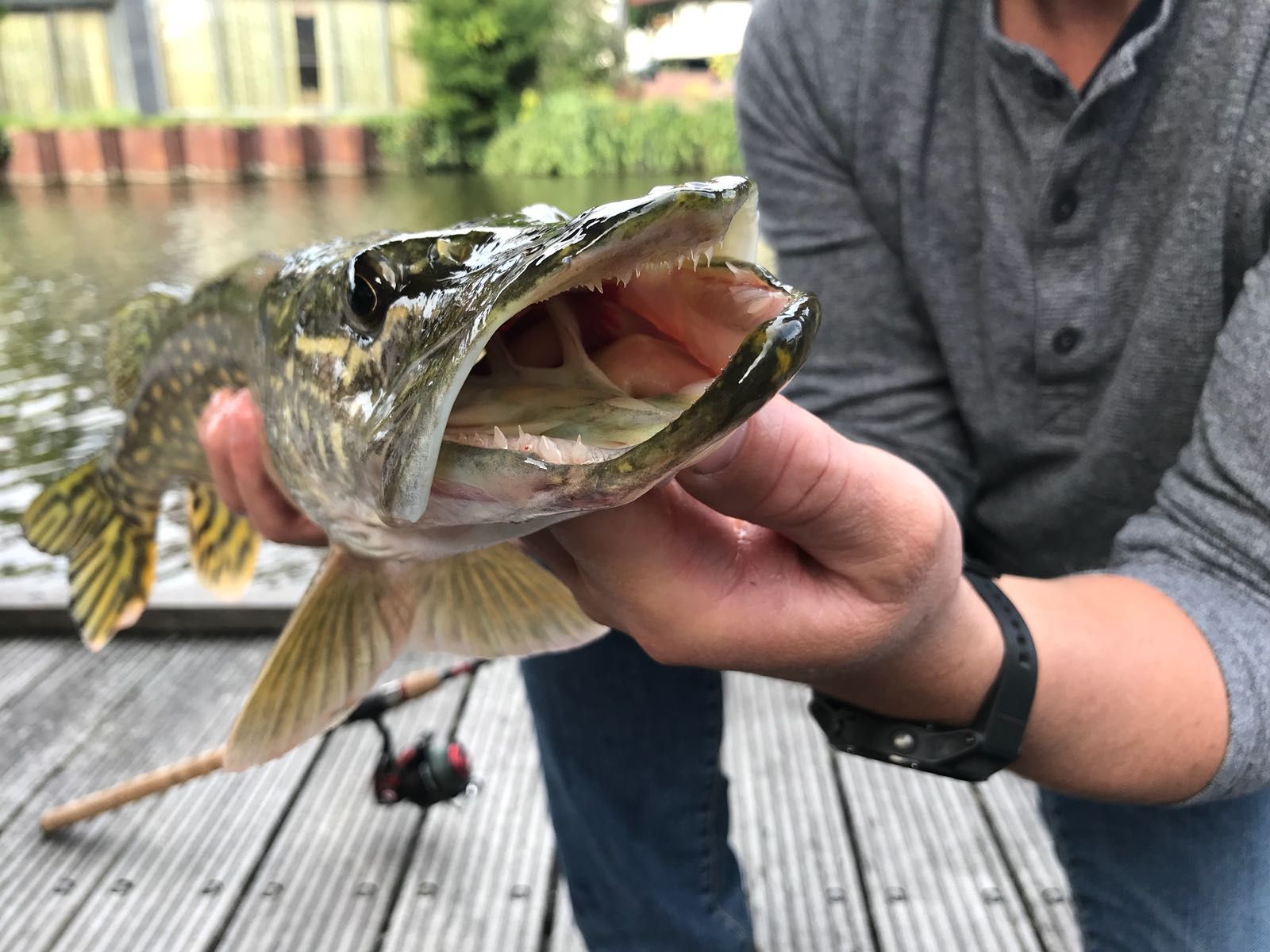 Pike Fishing Almere